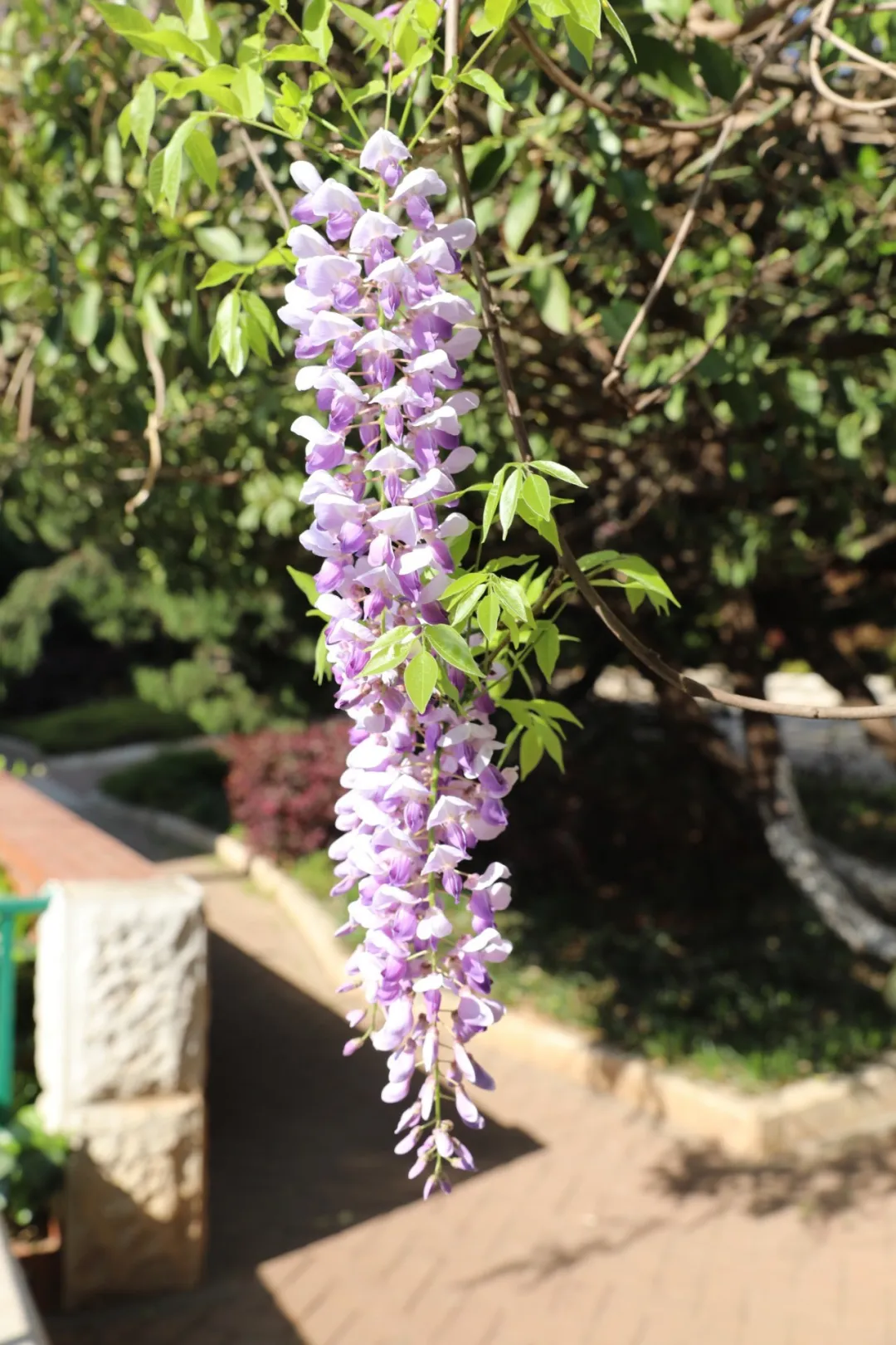 国家级一流！厉害了我的云南农大