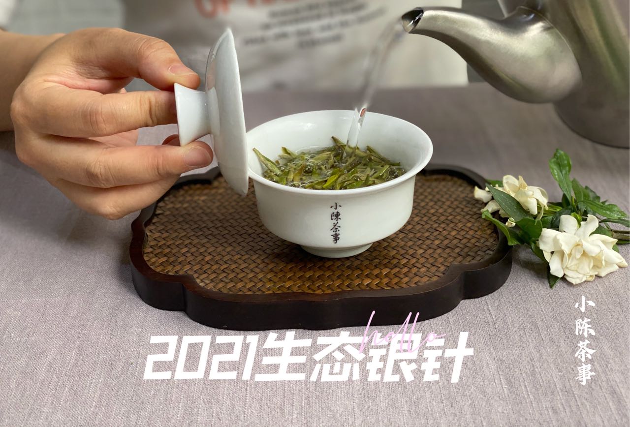 洗茶、闷泡、悬壶高冲，看过5点细节，带你告别错误的白茶冲泡法