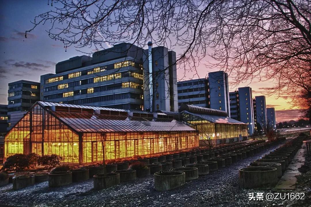 吉森大学(吉森大学)-爱妻自媒体