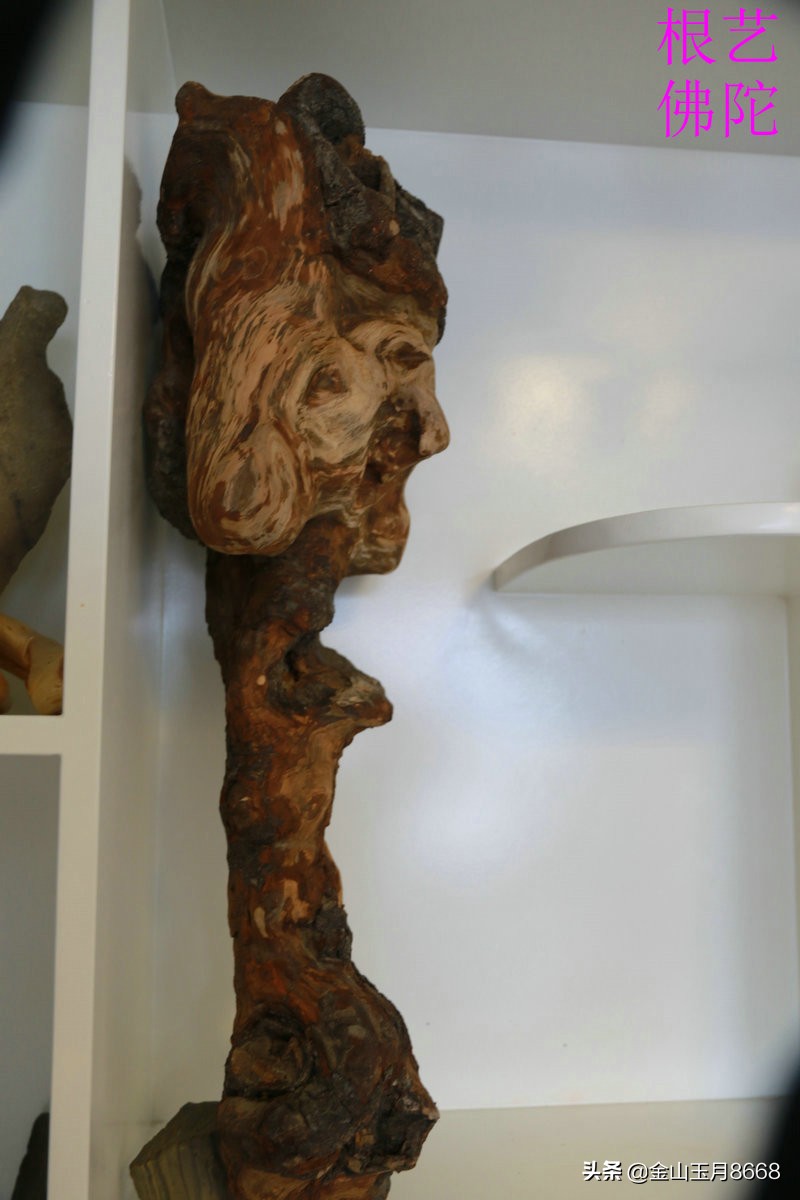 散文原创:根艺欣赏之佛陀这是一枚桦树根,高60多公分,其中头部有20多