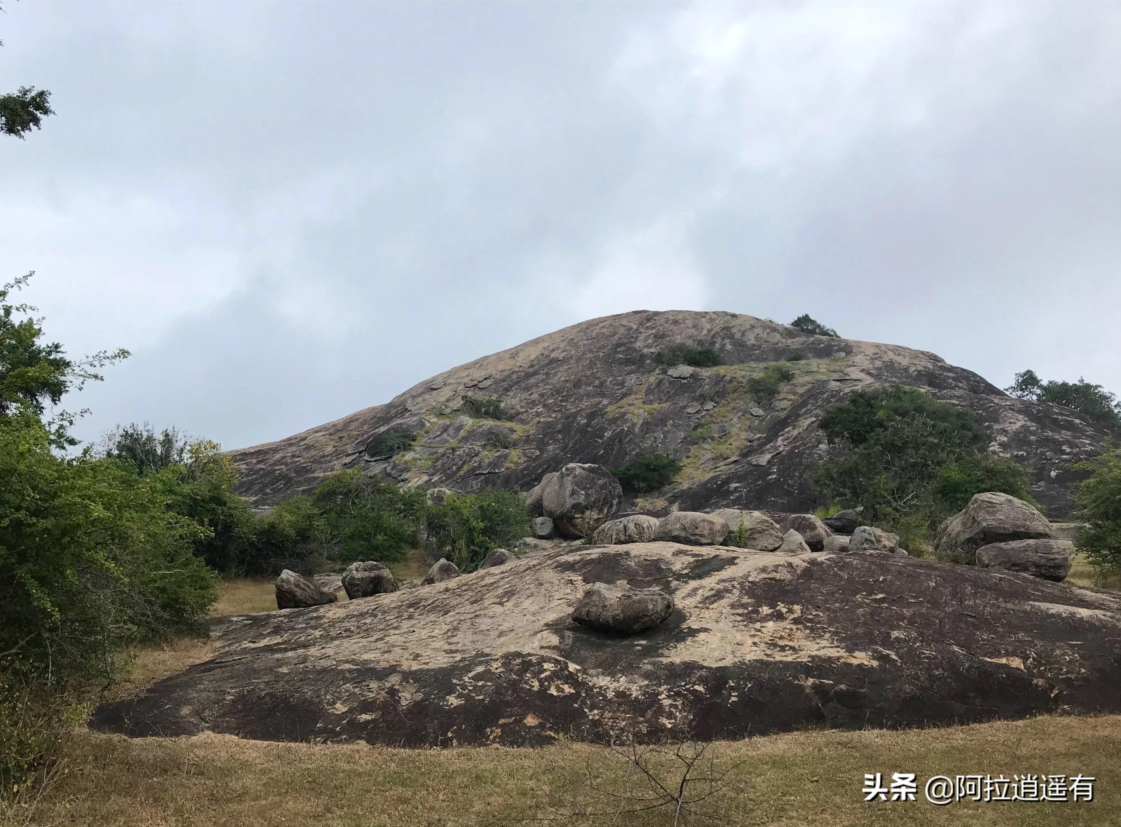 印度别车(斯里兰卡记行（二十二）：原来孔雀开屏有两个理由，并非为了比美)