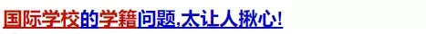 热门名校录取率低于10%？但佛山这所国际学校家长依然争相关注！