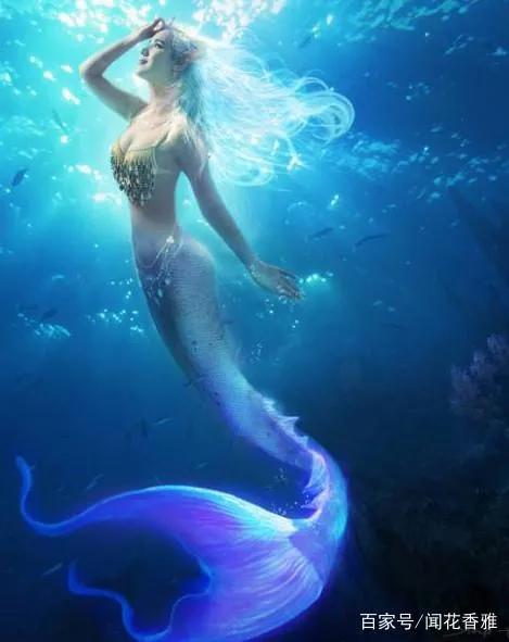 十二星座的守护星，星座花，花语，快来看看你的是什么吧