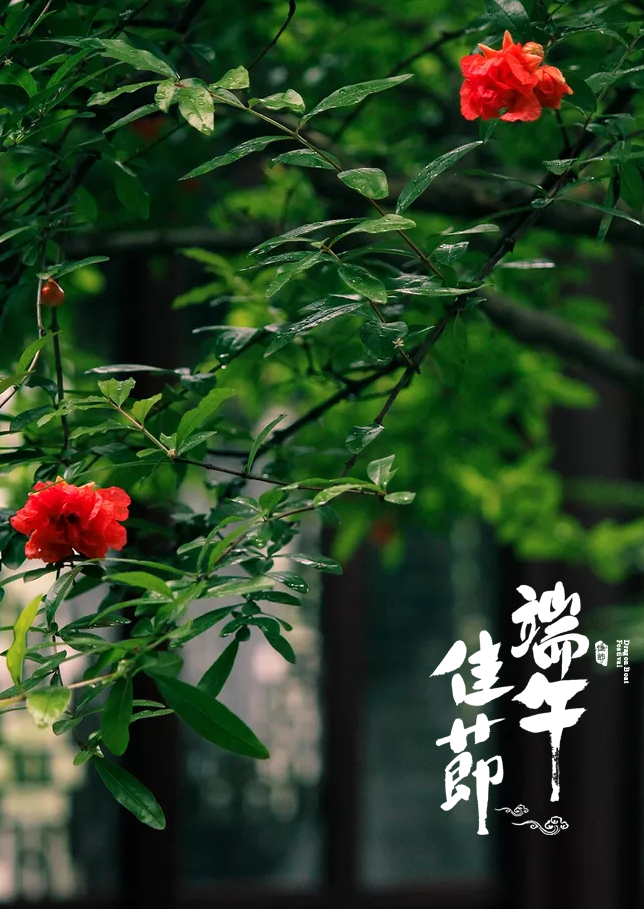 「诗词鉴赏」十五首端午的古诗词，写尽端午的习俗与万般思绪