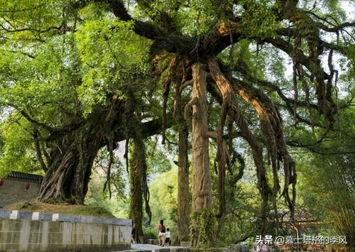 中国8个真正的古镇，适合旅居度假小住几日，有你喜欢的吗？