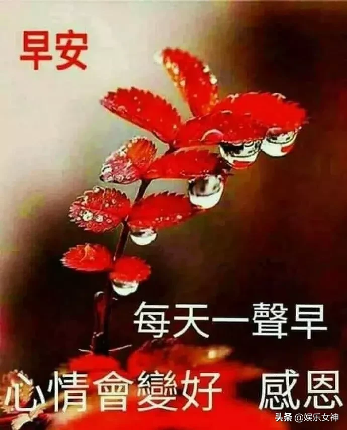 伸个懒腰，舒展甜美笑容；打开窗帘，迎接温暖晨光，早安