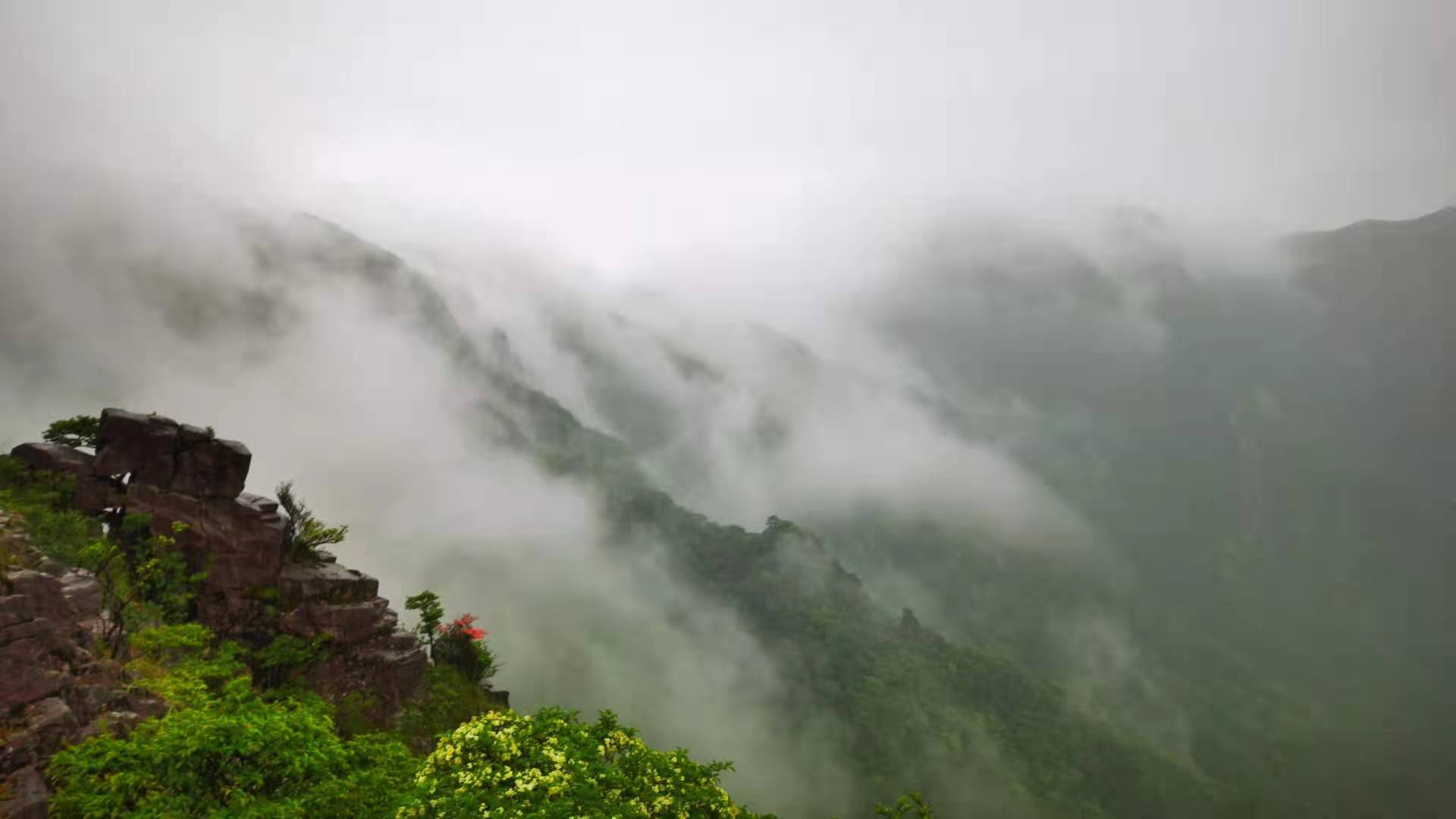 武功山海拔多少米(爱恨武功山，一生一定要去一次的徒步天堂)