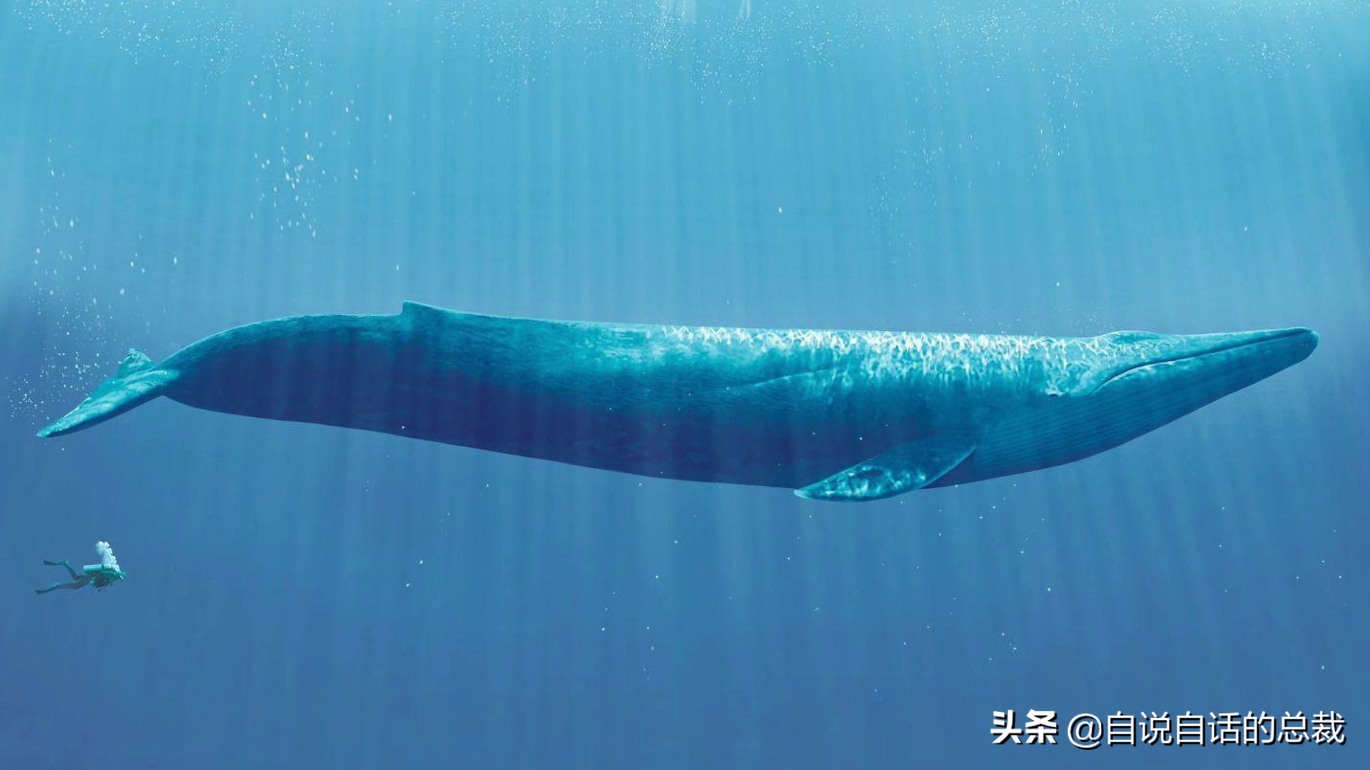 5种比巨齿鲨还恐怖的海怪，背后隐藏着一个人类起源的故事