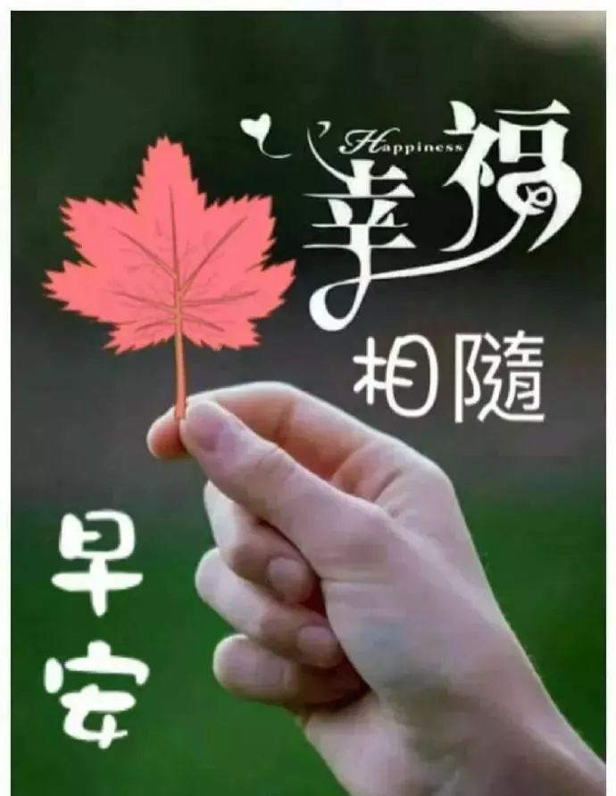 早安吉祥：朋友，短信祝早上好，愿你微笑今天，快乐永远，早安