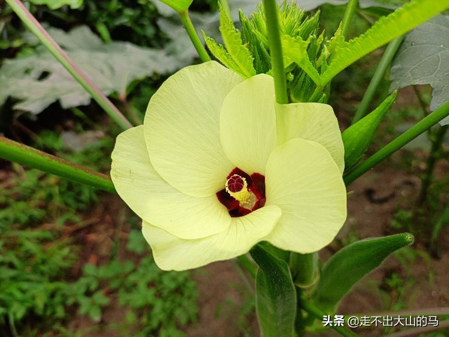 断舍离——我和老婆三十年的婚姻正在悄悄发生一种裂变