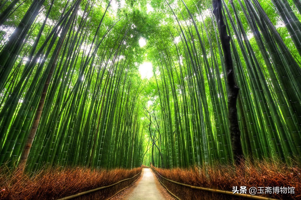这些巧夺天工的艺术品，竟然都是竹根雕，史上最贵的竹根雕拍卖榜