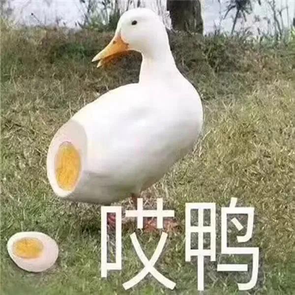今日话题#你最喜欢哪种鸭子吃法?#评论区来种草吧~(青聚锦官城)