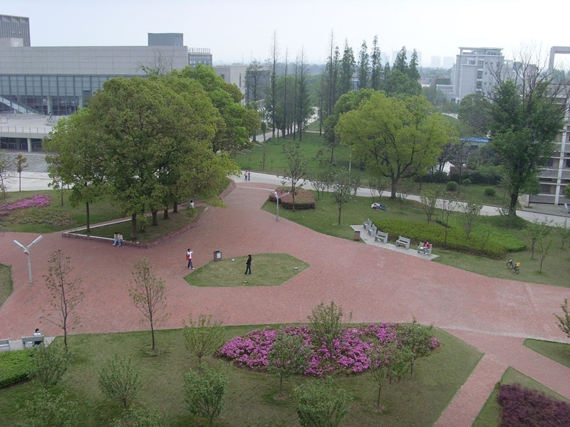 录取成绩分析：2021年艺考生报考华中农业大学需要多少分？