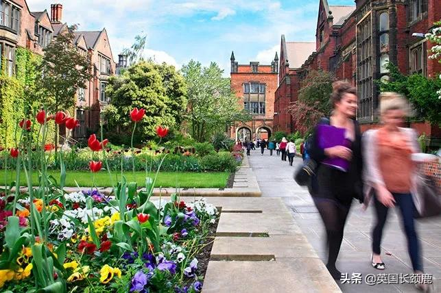 UCL升5名，KCL伦艺暴涨20名！卫报发布2022英国大学排名