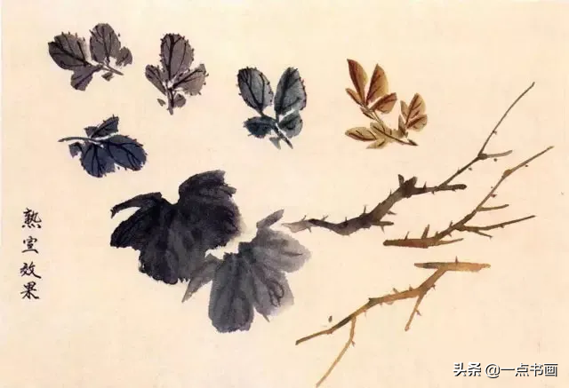 一学就会画——小写意禽鸟画法