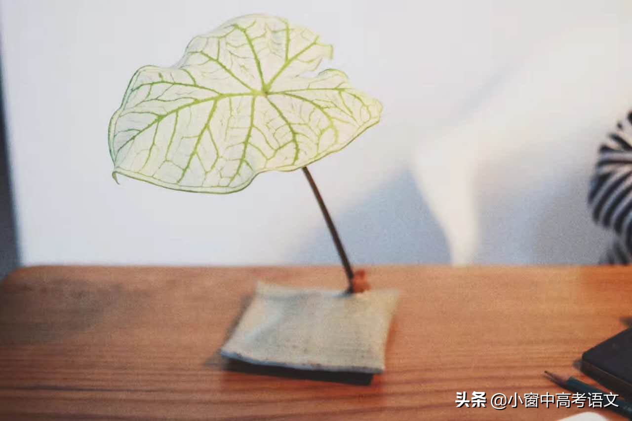 2021衡水联考（广东卷）作文解析+范文：勤俭美德，发言稿