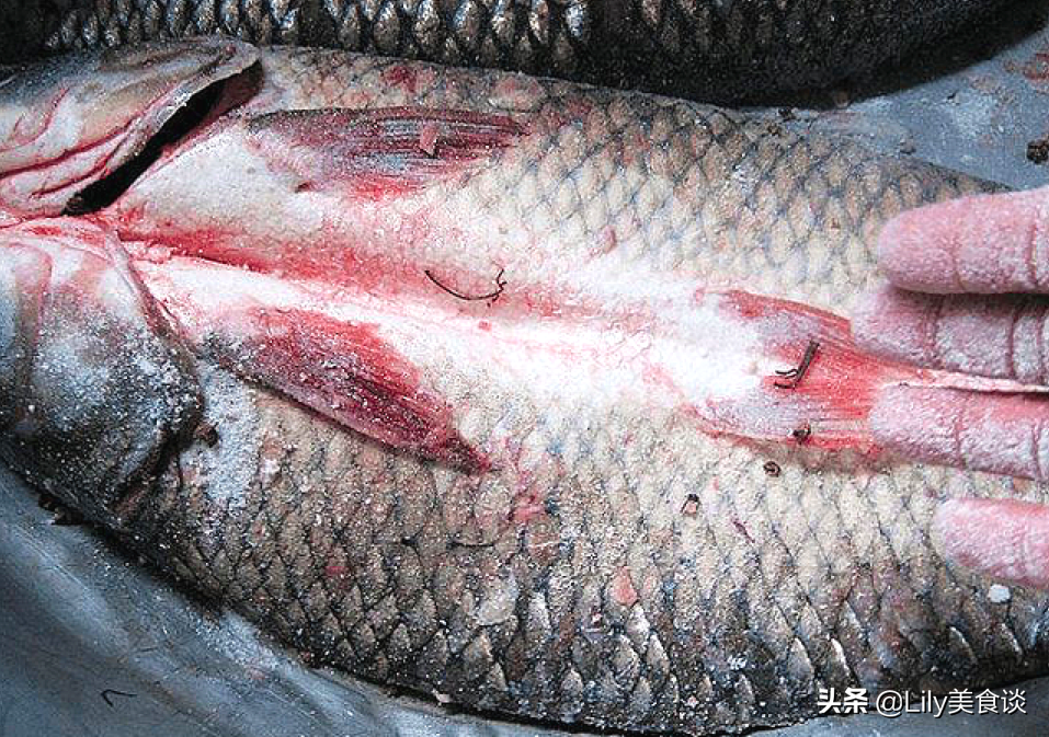 冬天腌鱼时，直接抹盐就错了，多做一步，鱼肉鲜香紧实，还没腥味