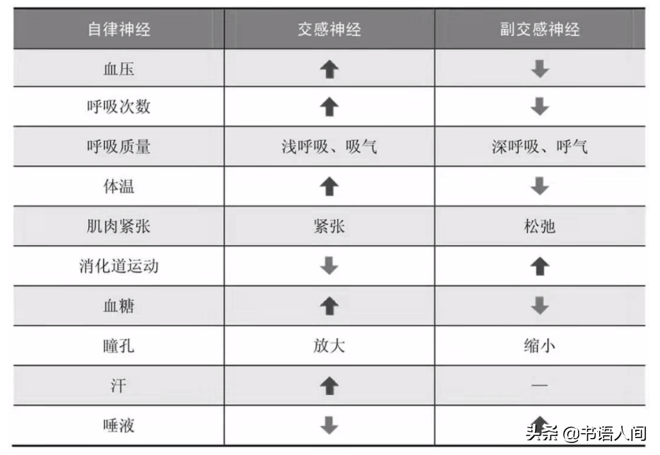 经常容易紧张怎么办？脑科学家有这3个方法想要教给你