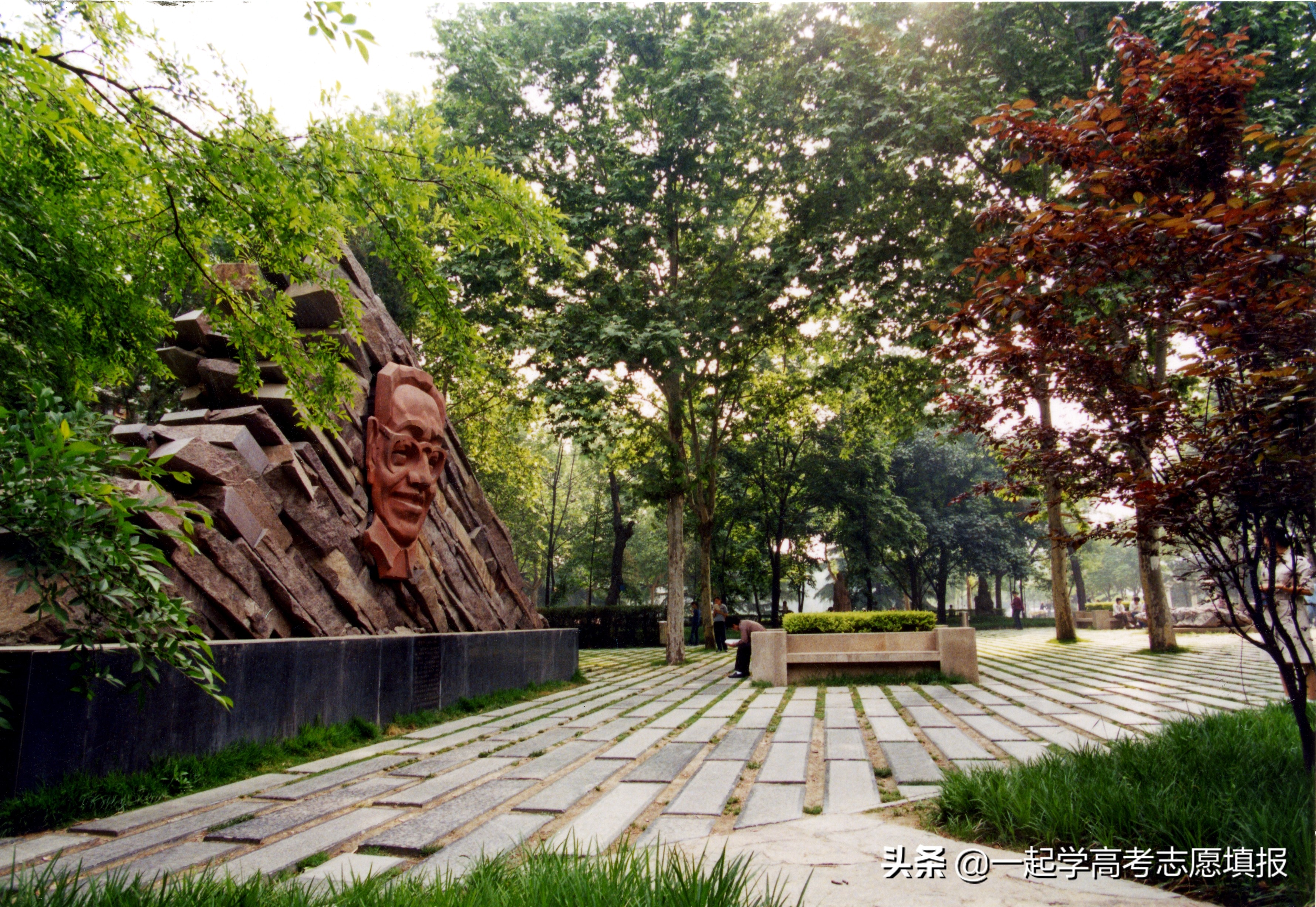 西北大学的重点学科、优势专业