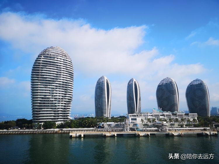 西沙~南海中的一片莲