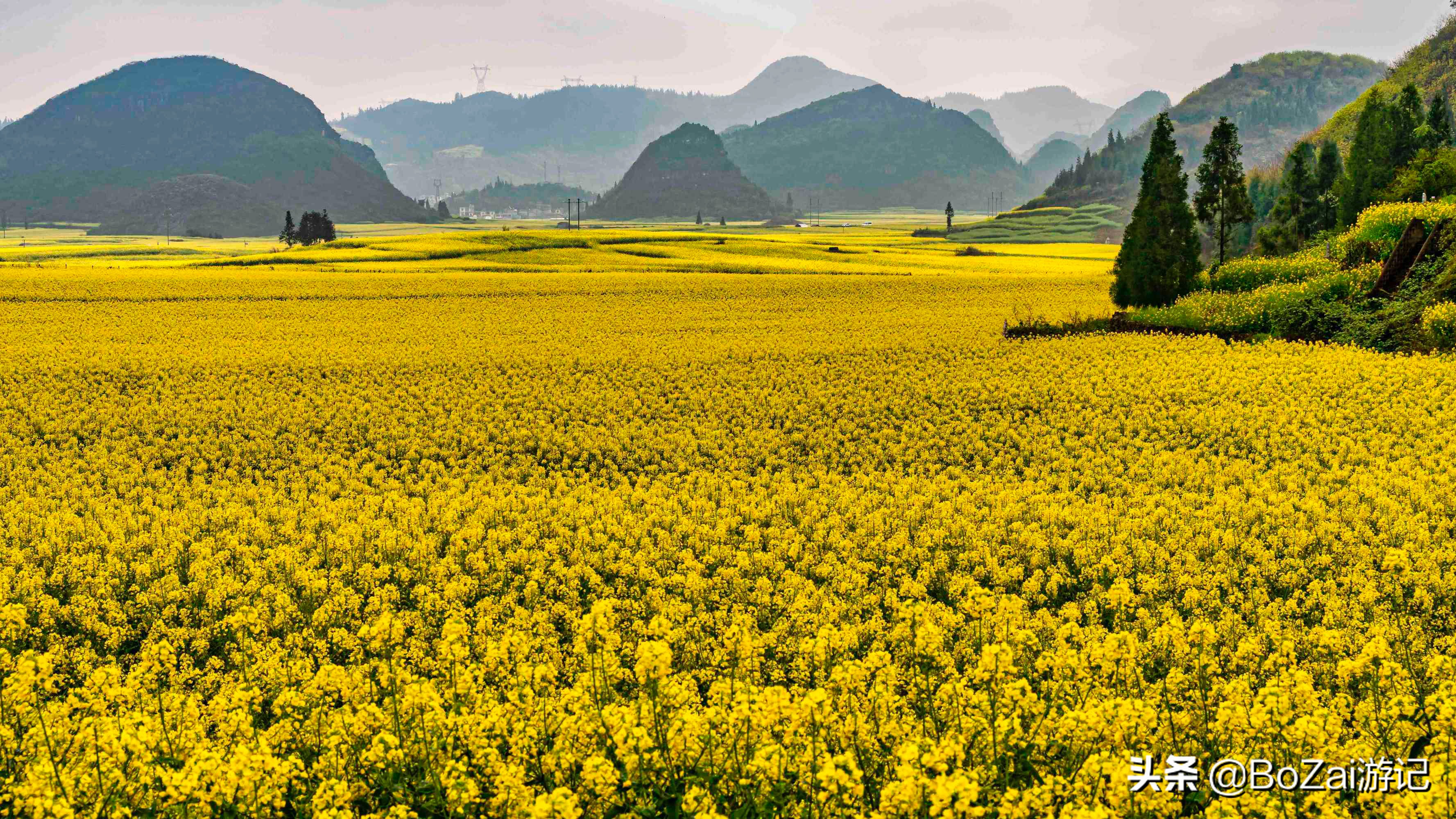 适合云南旅游的地方（到云南旅游不能错过的10大景点）