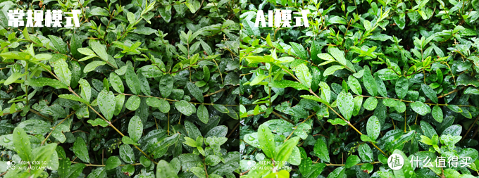 红米k30i参数详细参数（红米k30配置参数）-第51张图片-大连信息网