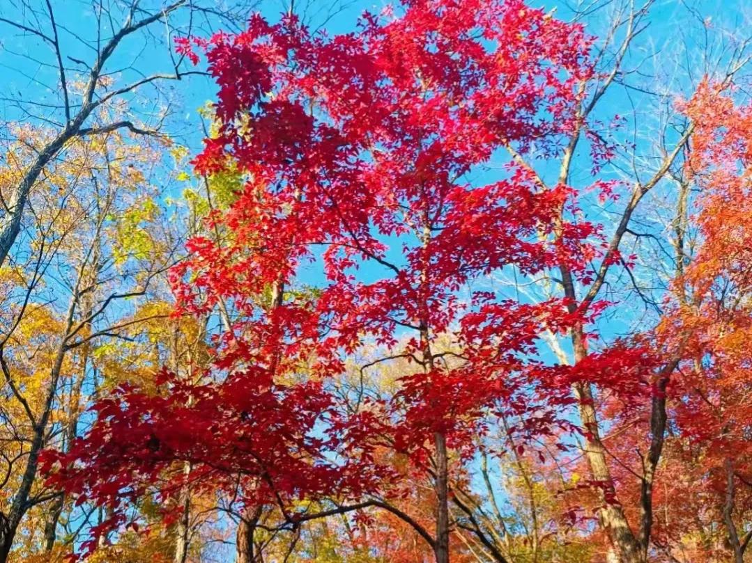 姥姥陪读经典句子，温馨共育成长路
