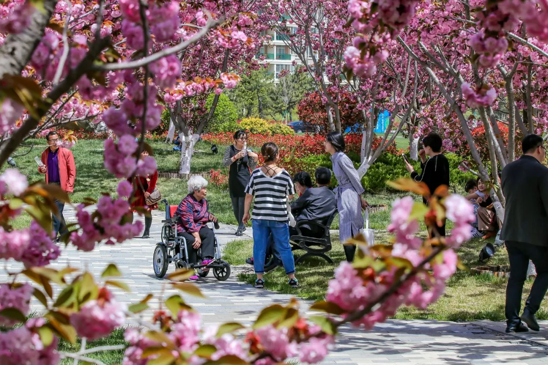 来荣成读大学：在蓝天碧海间绽放最美青春