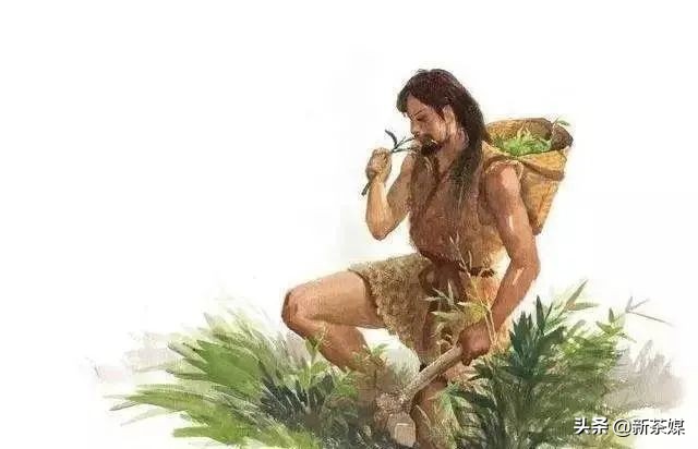 南糯山制茶厂成立，见证云南大沙甸独立事件