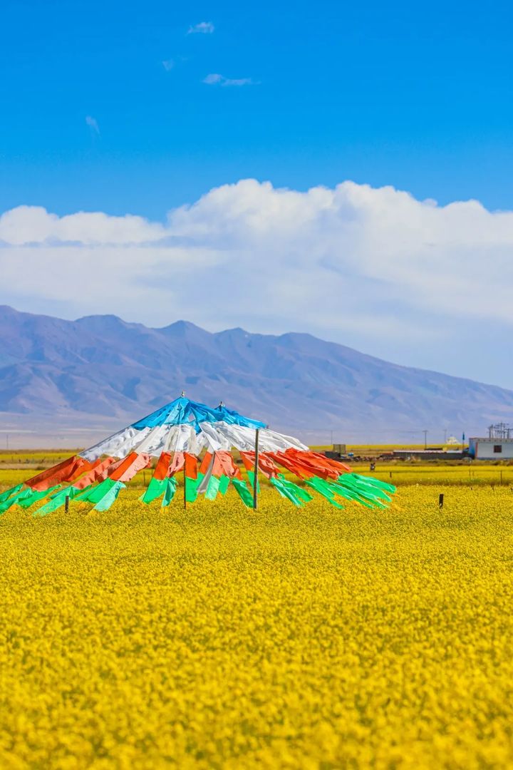 101张美照带你逛遍大美青海