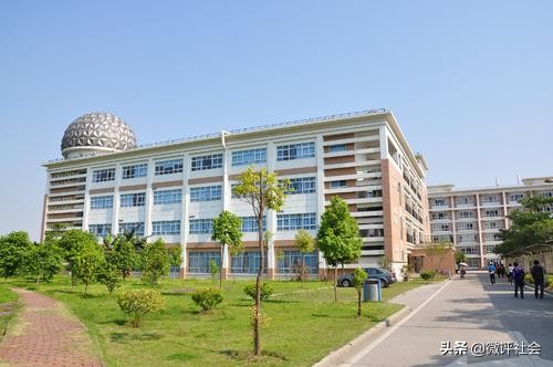 福建省一流高校排名，福大跌至第三，集美大学未入五强