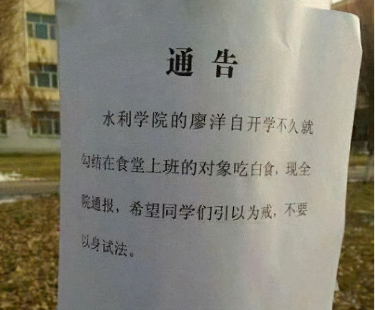 超硬核学校处分决定，看完处分理由，才知道班里卧虎藏龙