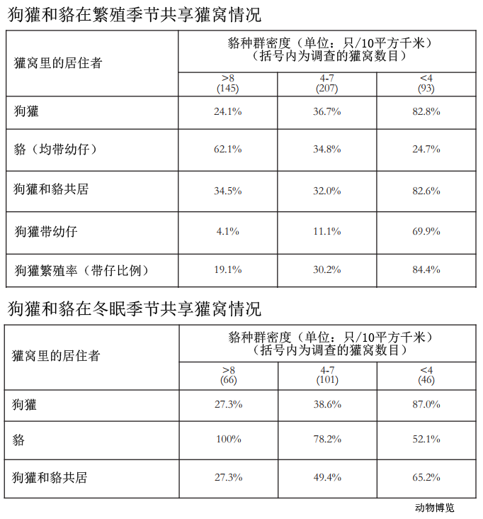 东亚貉席卷欧洲，将对狗獾种群造成什么影响？