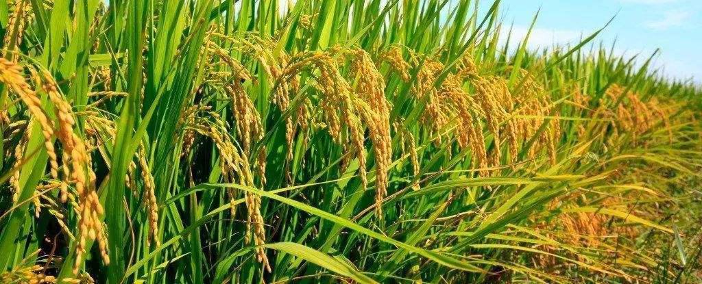 “杞人忧天”的故事，可能你只听了一半，后半部分故事更精彩