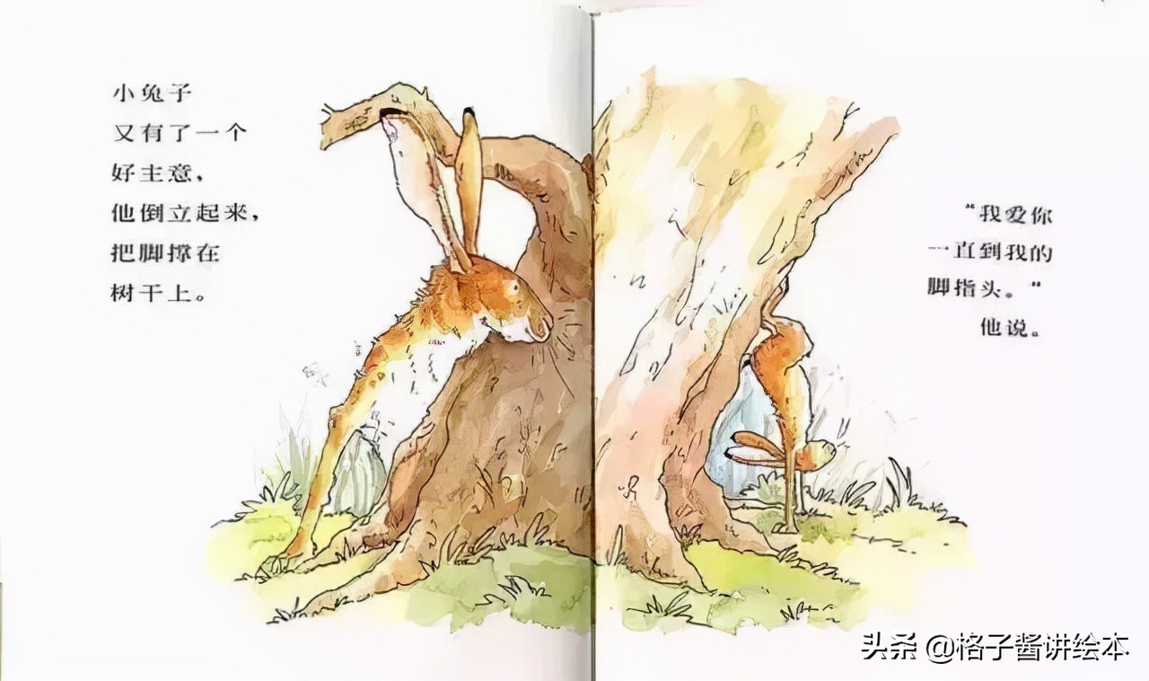 绘本故事推荐《猜猜我有多爱你》