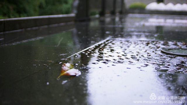 江南梅子雨