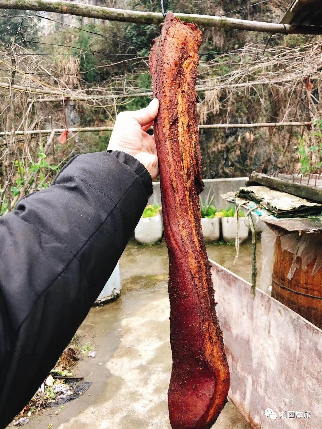 湘西三种常见与三种稀有美食，虫和草都有，去湘西玩一定别错过