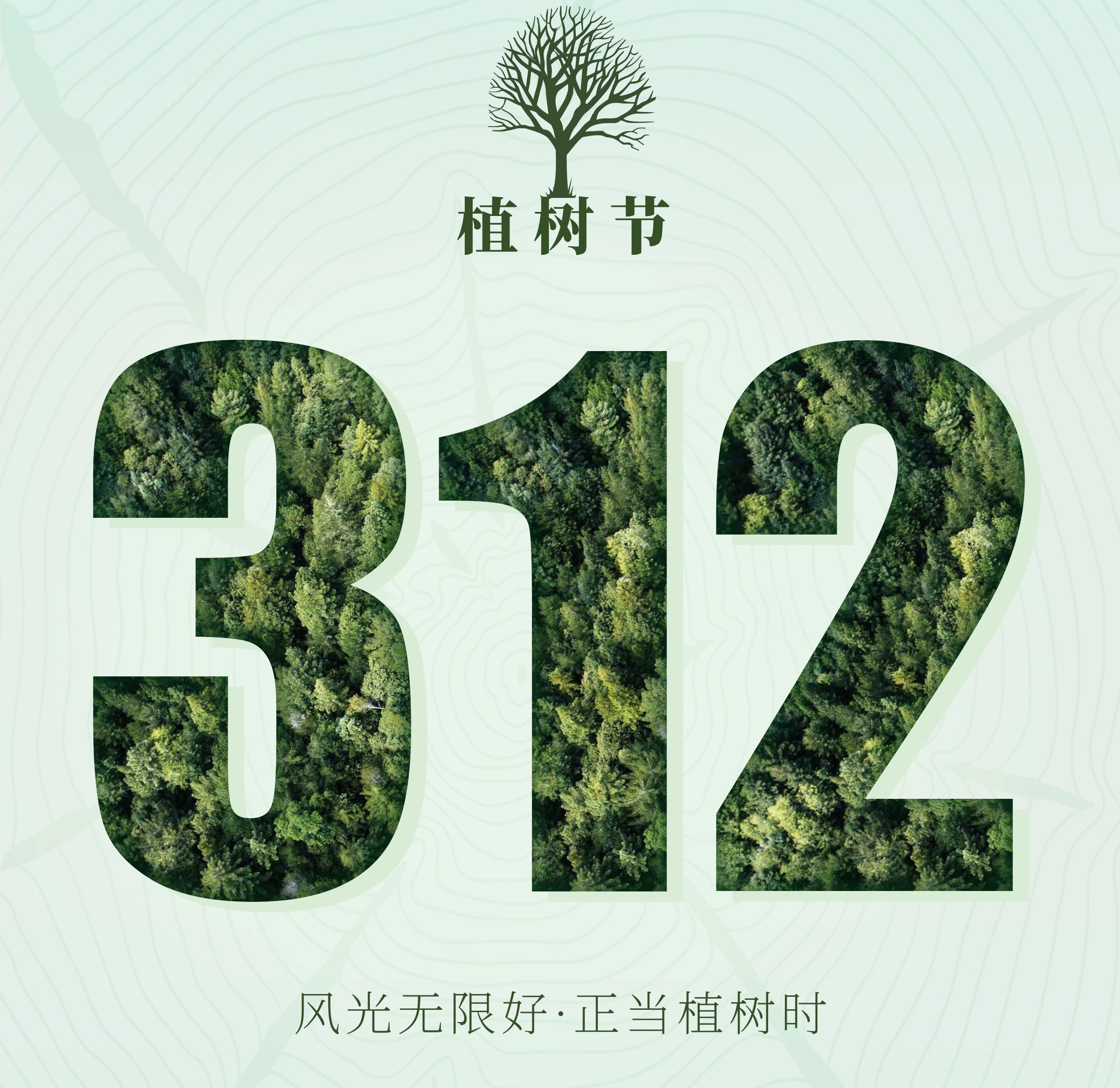 植树节环保名人名言(关于保护环境,植树造林的名人名言)