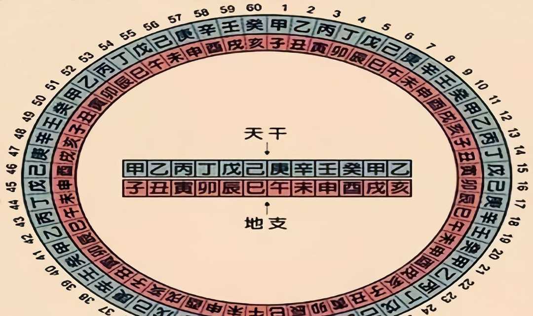 《中国历史常识》｜“天干地支”常识