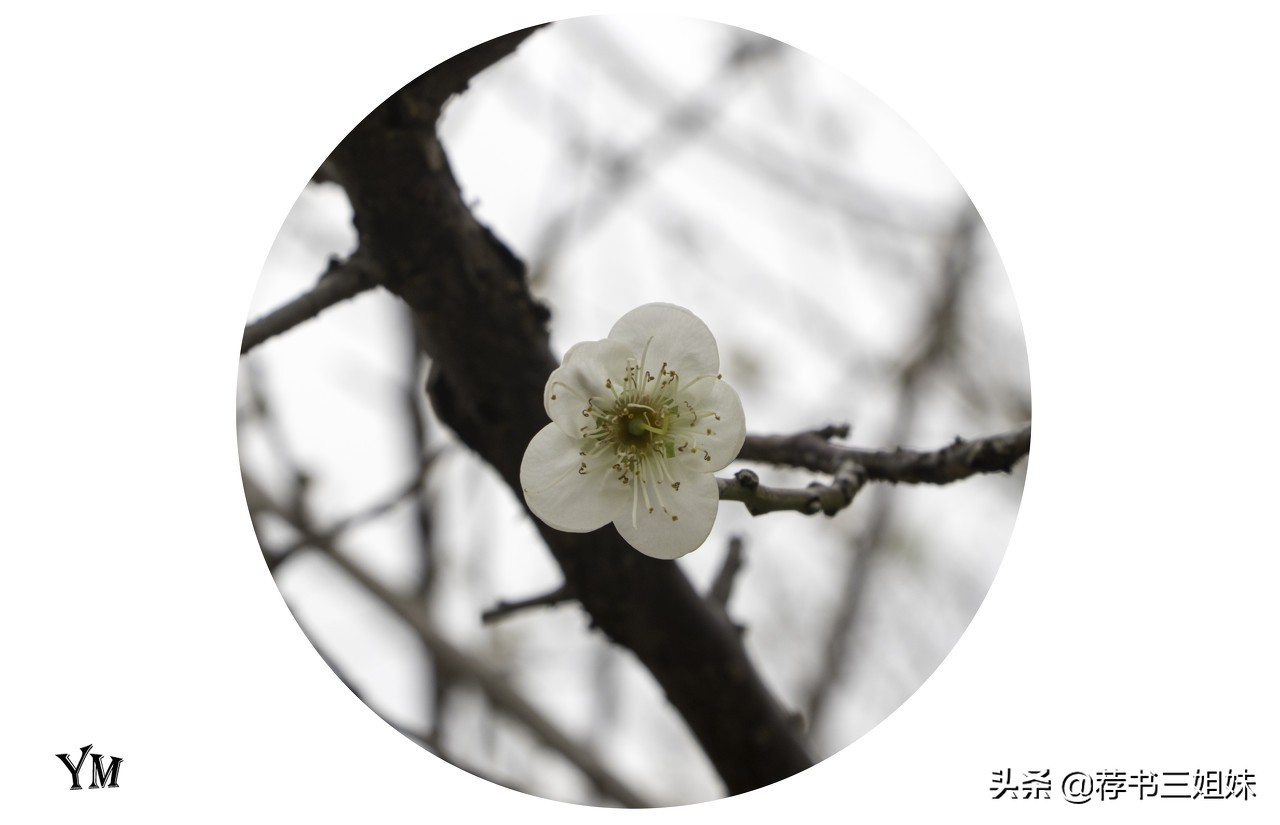 5首励志诗词，坚持不下去的时候读一读，成功的未来看得见