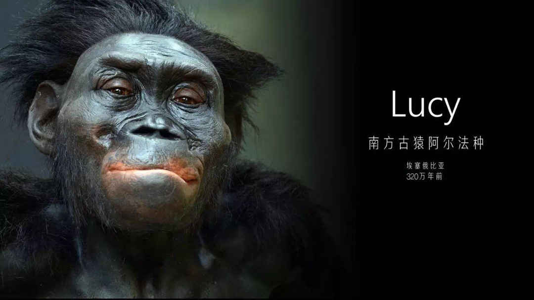 小人国真的存在过吗?科学击碎了我儿时的童话梦