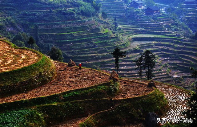 高考喜报传佳音，湖南多地高中成绩出炉，看是不是你所在的学校