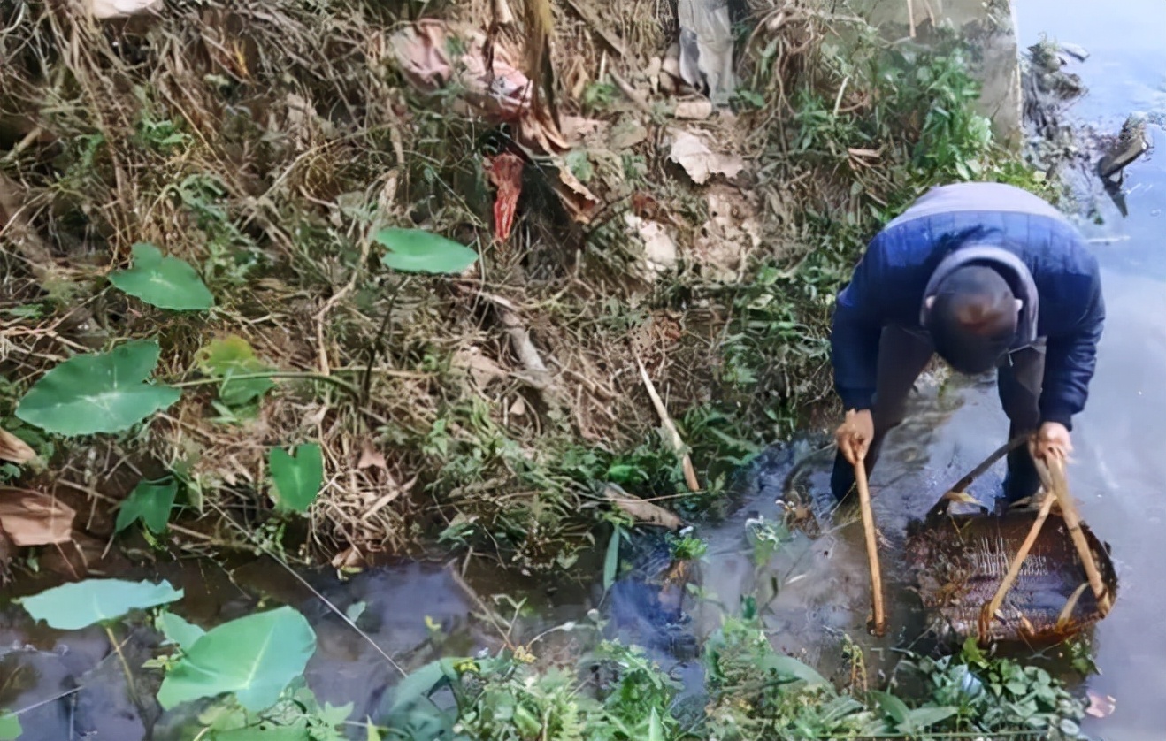 80年代農(nóng)村8種捕魚老物件，你用過幾種能說出名字嗎？滿滿的回憶