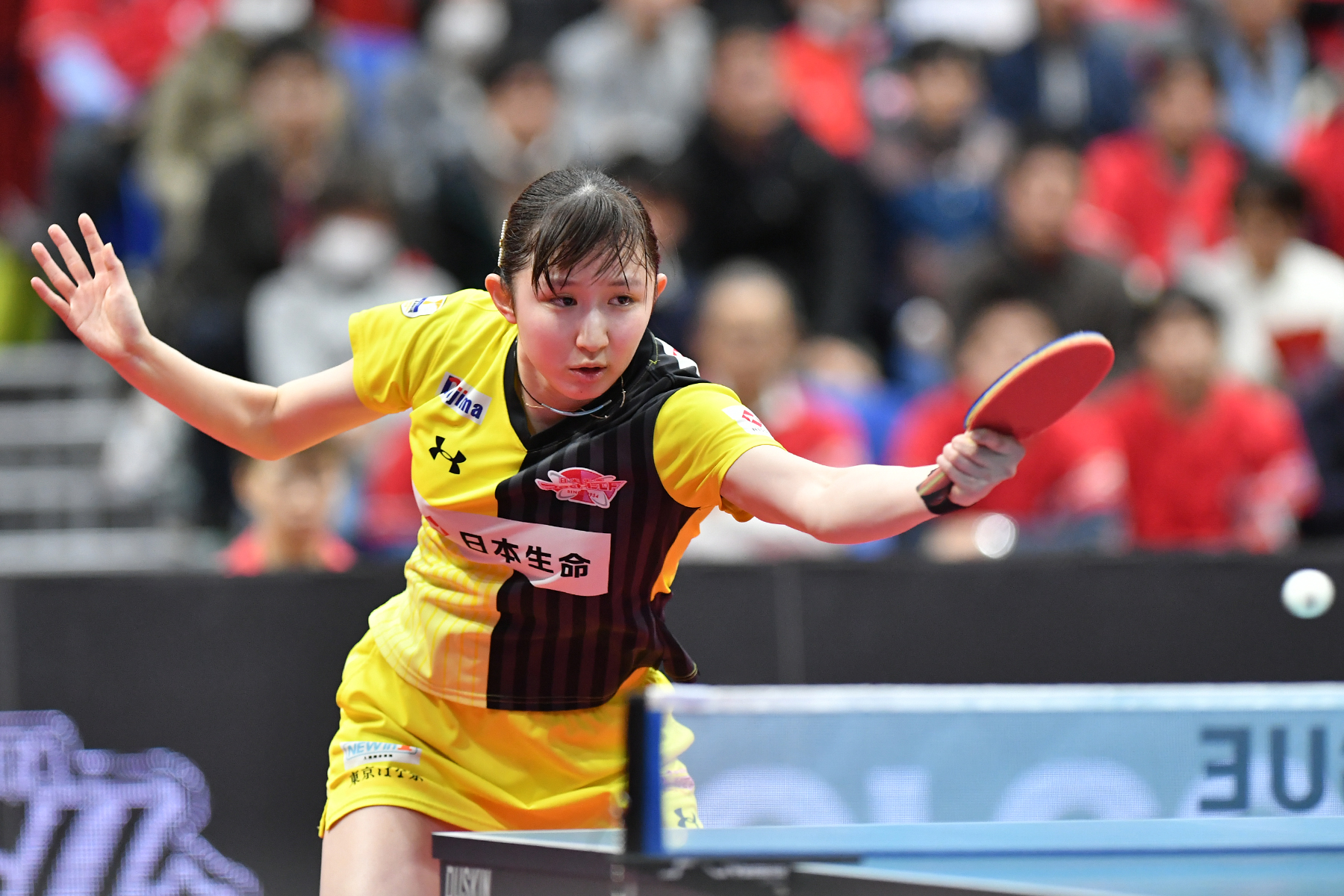 石川佳纯vs田志希(看萌妹纸苹果妹这高兴劲儿!