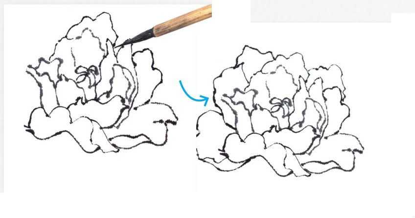牡丹怎么画(零基础国画教程)
