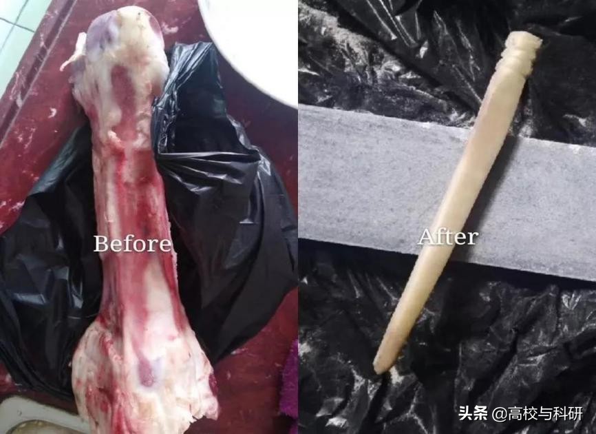 深圳大学，没想到你是这样的存在