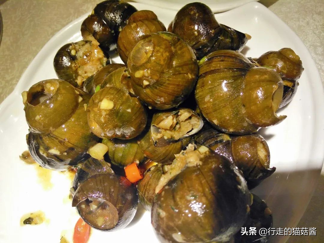 3月份的桂林是最舒服惬意的时候，三天两夜看一场山水画中景