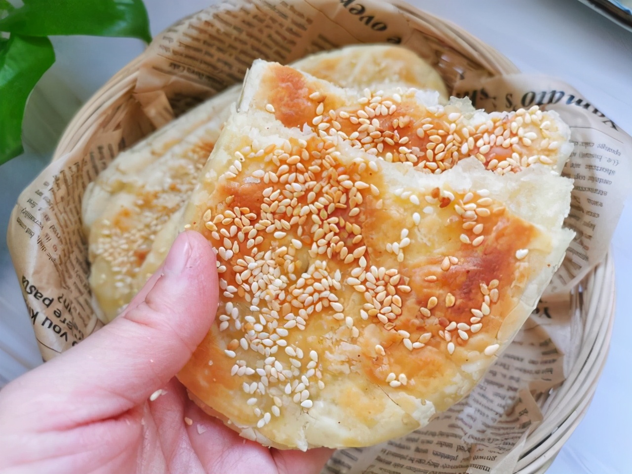 烧饼的做法大全家常做法(教你7种烧饼的做法配方详细)