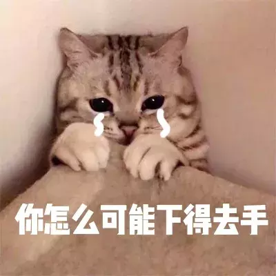 男人梦见猫是什么征兆(梦到猫，应该如何解梦？)