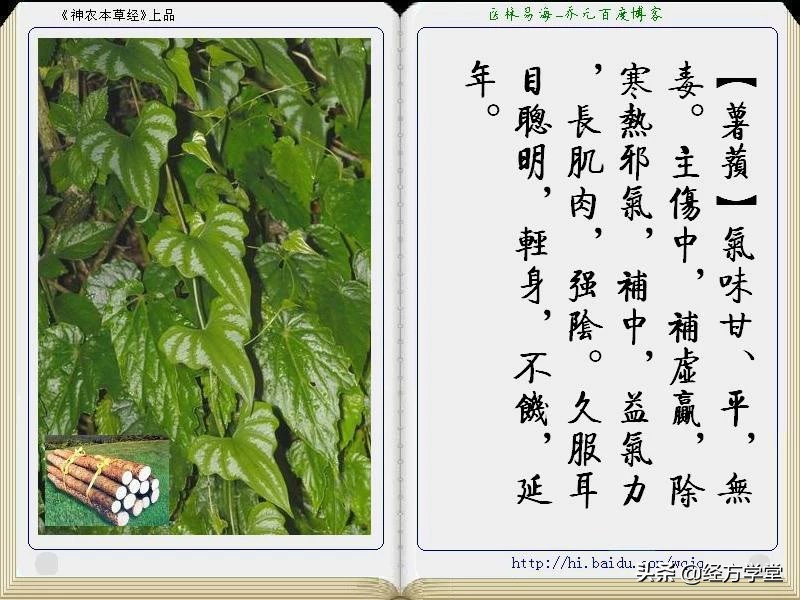 《神农本草经》全册图文解析 建议收藏